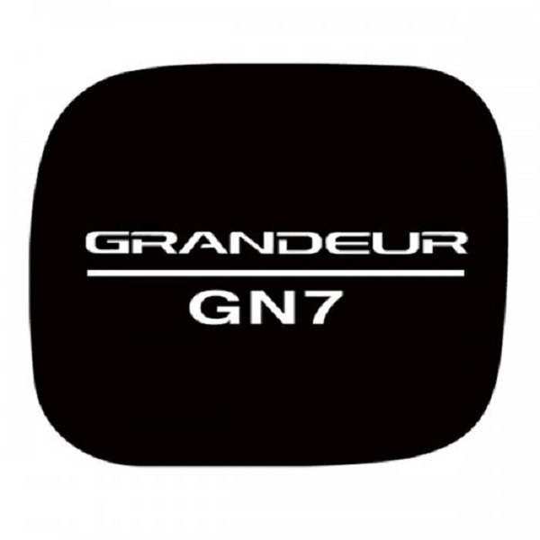 ArtX 그랜저 GN7 7세대 3D 5D카본 악어스킨 주유구 데칼스티커